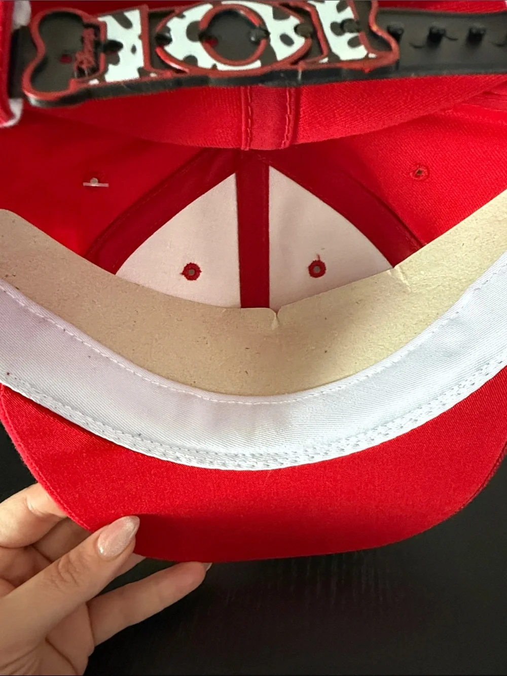 101 Dalmatians Snapback Hat